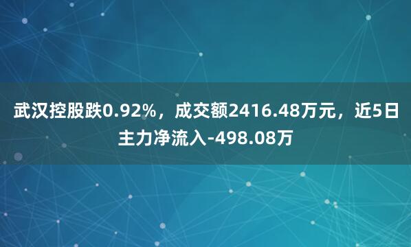 武汉控股跌0.92%，成交额2416.48万元，近5日主力净流入-498.08万