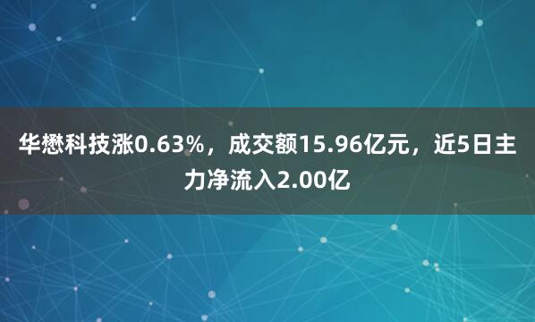 华懋科技涨0.63%，成交额15.96亿元，近5日主力净流入2.00亿