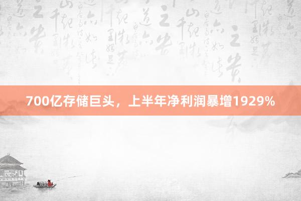 700亿存储巨头，上半年净利润暴增1929%
