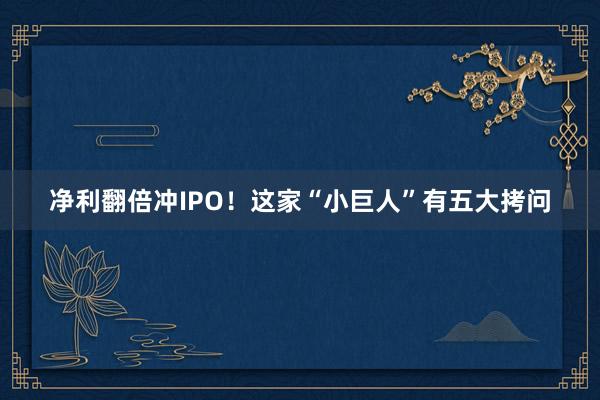 净利翻倍冲IPO！这家“小巨人”有五大拷问