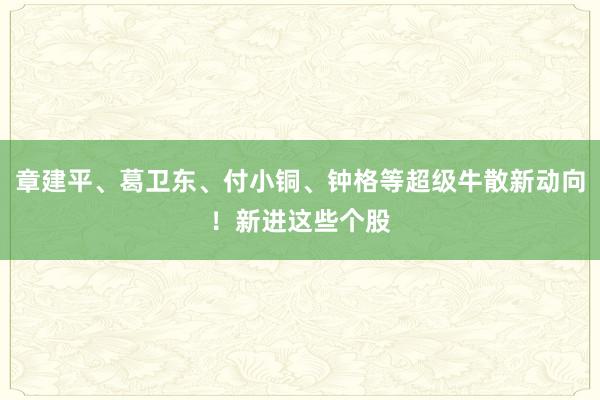 章建平、葛卫东、付小铜、钟格等超级牛散新动向！新进这些个股