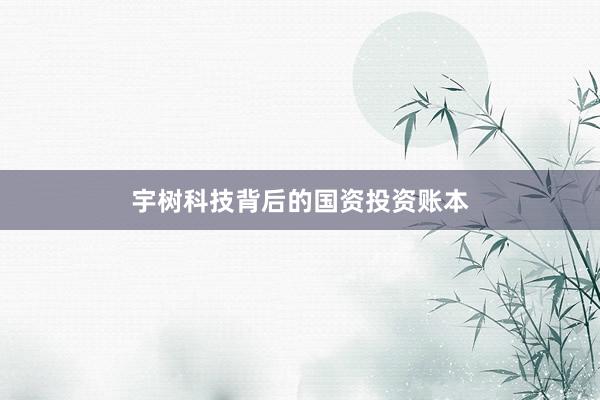宇树科技背后的国资投资账本
