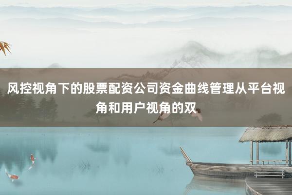 风控视角下的股票配资公司资金曲线管理从平台视角和用户视角的双