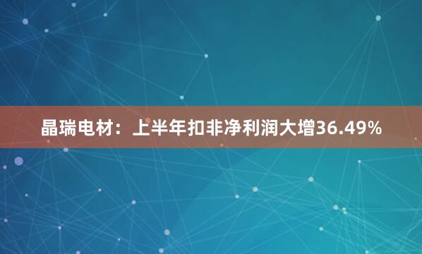 晶瑞电材：上半年扣非净利润大增36.49%