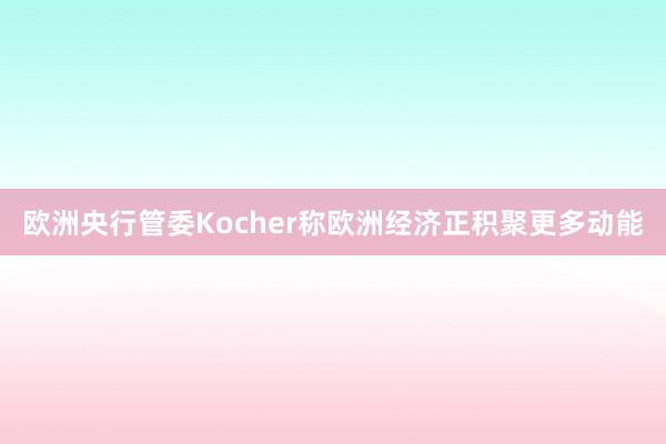 欧洲央行管委Kocher称欧洲经济正积聚更多动能