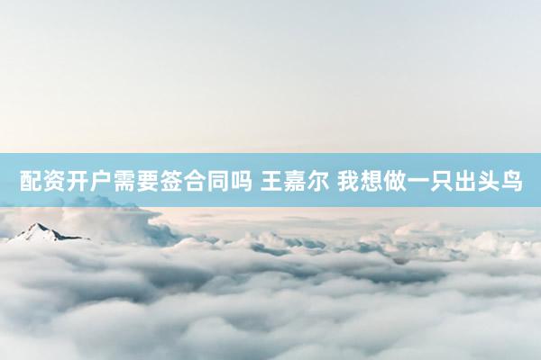 配资开户需要签合同吗 王嘉尔 我想做一只出头鸟