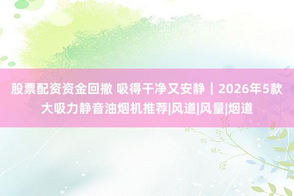 股票配资资金回撤 吸得干净又安静｜2026年5款大吸力静音油烟机推荐|风道|风量|烟道