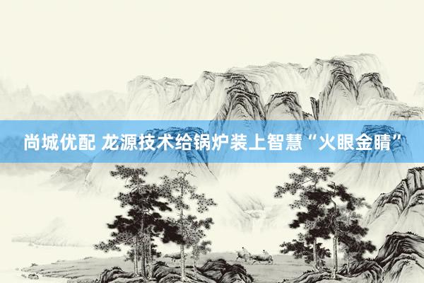 尚城优配 龙源技术给锅炉装上智慧“火眼金睛”