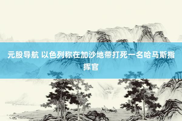 元股导航 以色列称在加沙地带打死一名哈马斯指挥官
