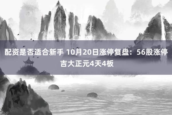 配资是否适合新手 10月20日涨停复盘：56股涨停 吉大正元4天4板