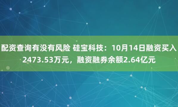 配资查询有没有风险 硅宝科技：10月14日融资买入2473.53万元，融资融券余额2.64亿元